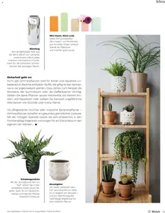 Müller Magazin ab 15.01.2026 gültig | Seite: 75 | Produkte: Vase