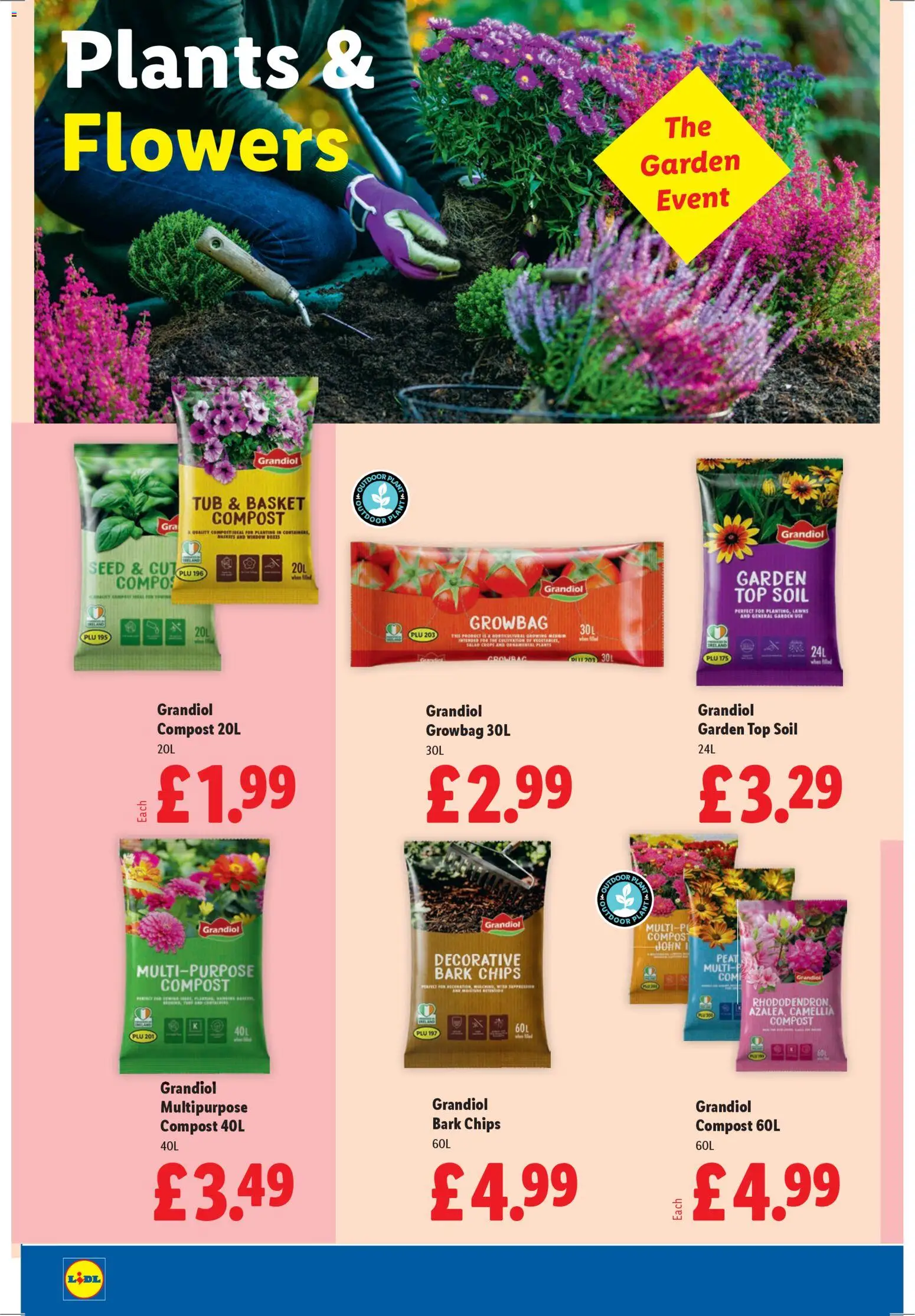 {H1} | Page: 26 | Products: Basket, Door, Chips, Salad