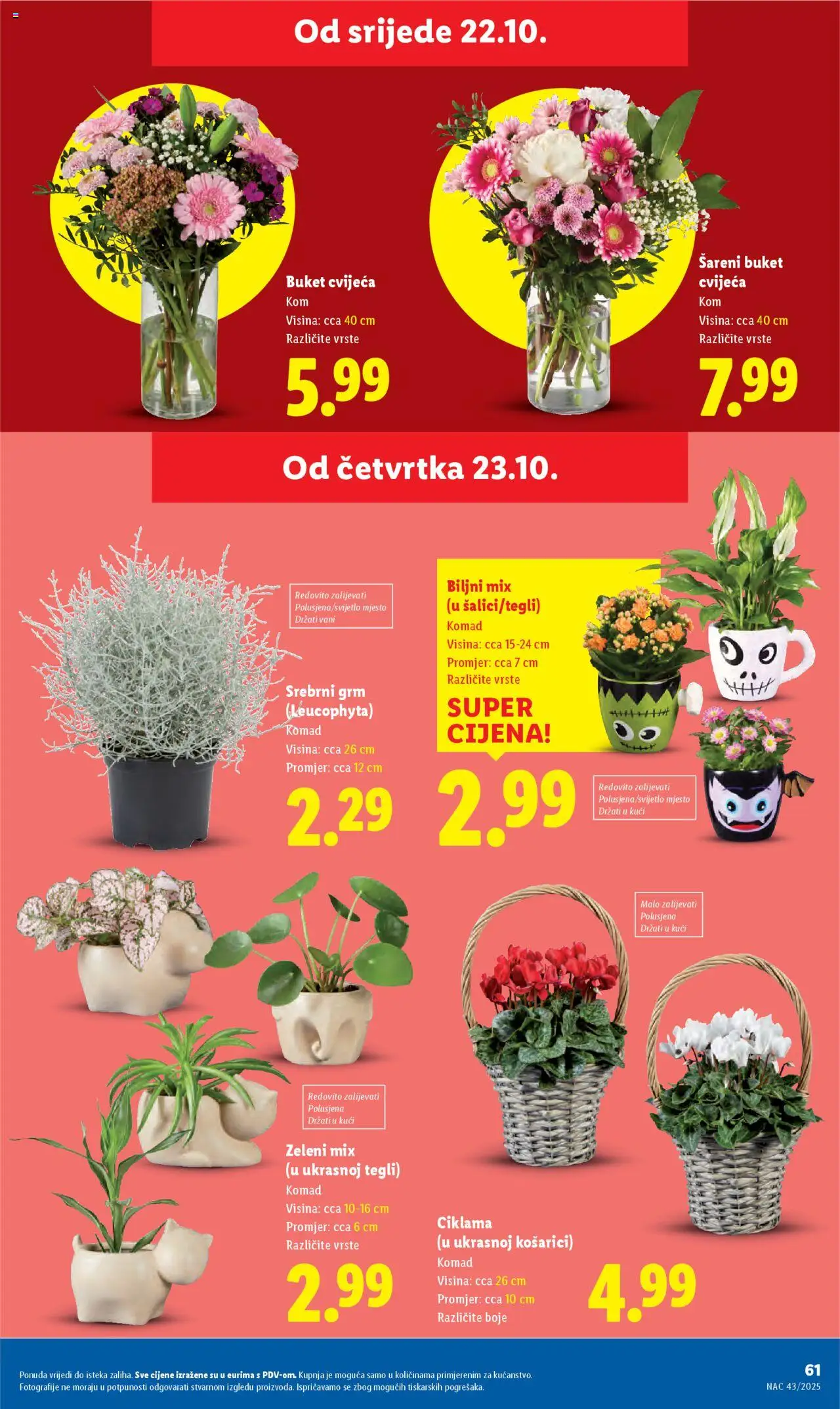 Lidl katalog | vrijedi od 20.10.2025 | Stranica: 61