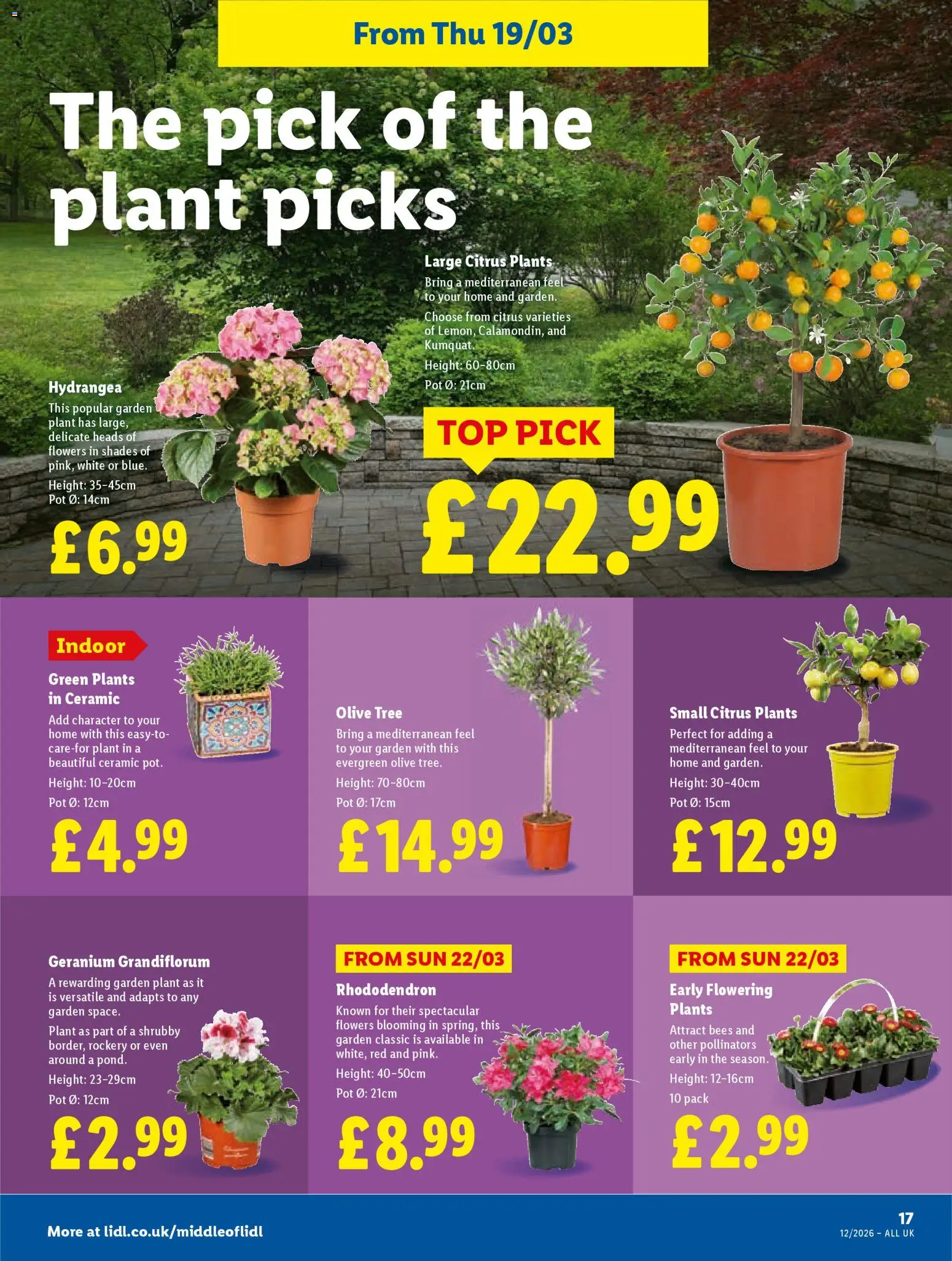 {H1} | Page: 19 | Products: Pot