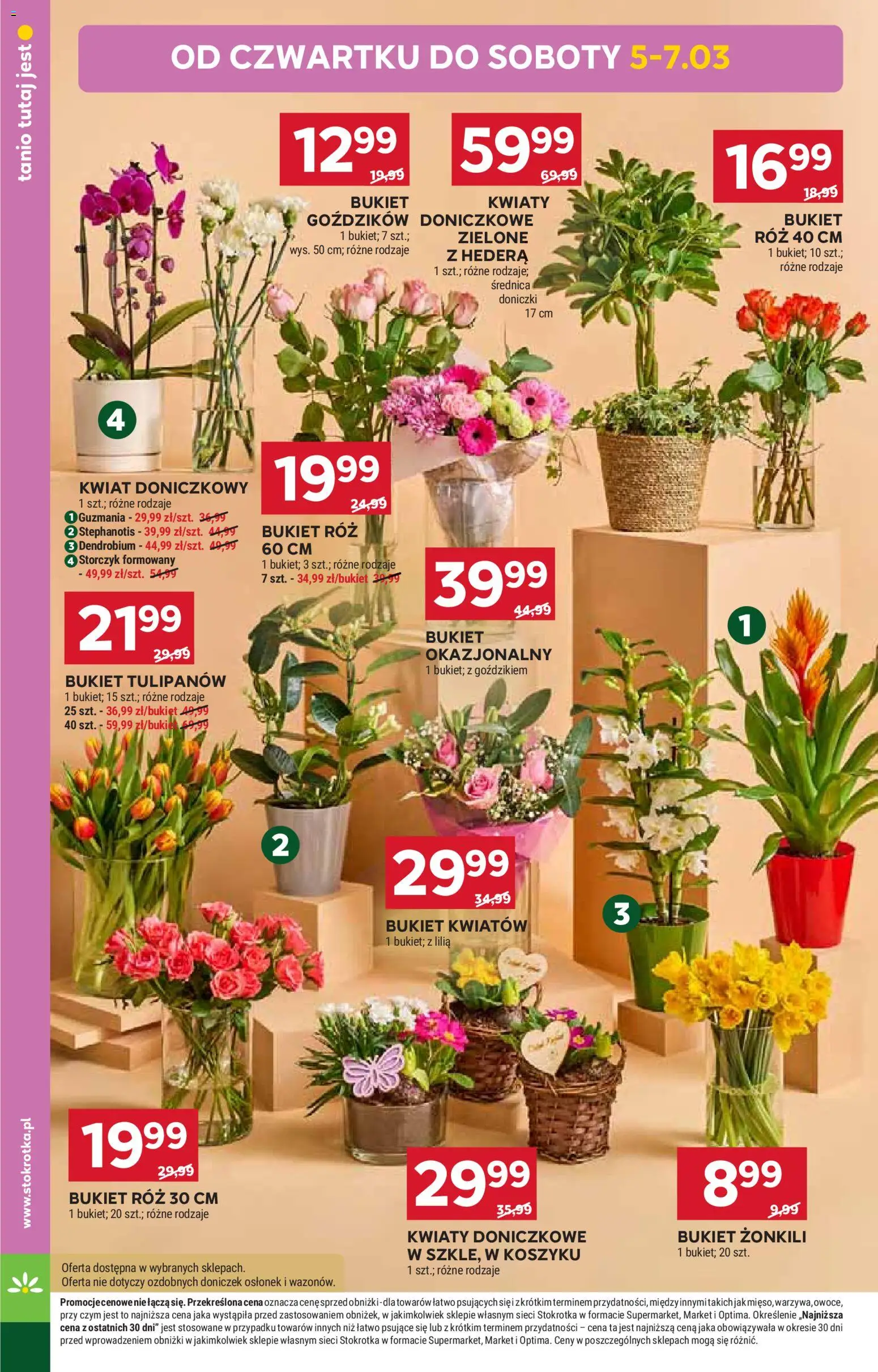 Stokrotka gazetka od 05.03.2026 | Strona: 14 | Produkty: Kwiaty doniczkowe, Doniczki, Storczyk, Kwiaty