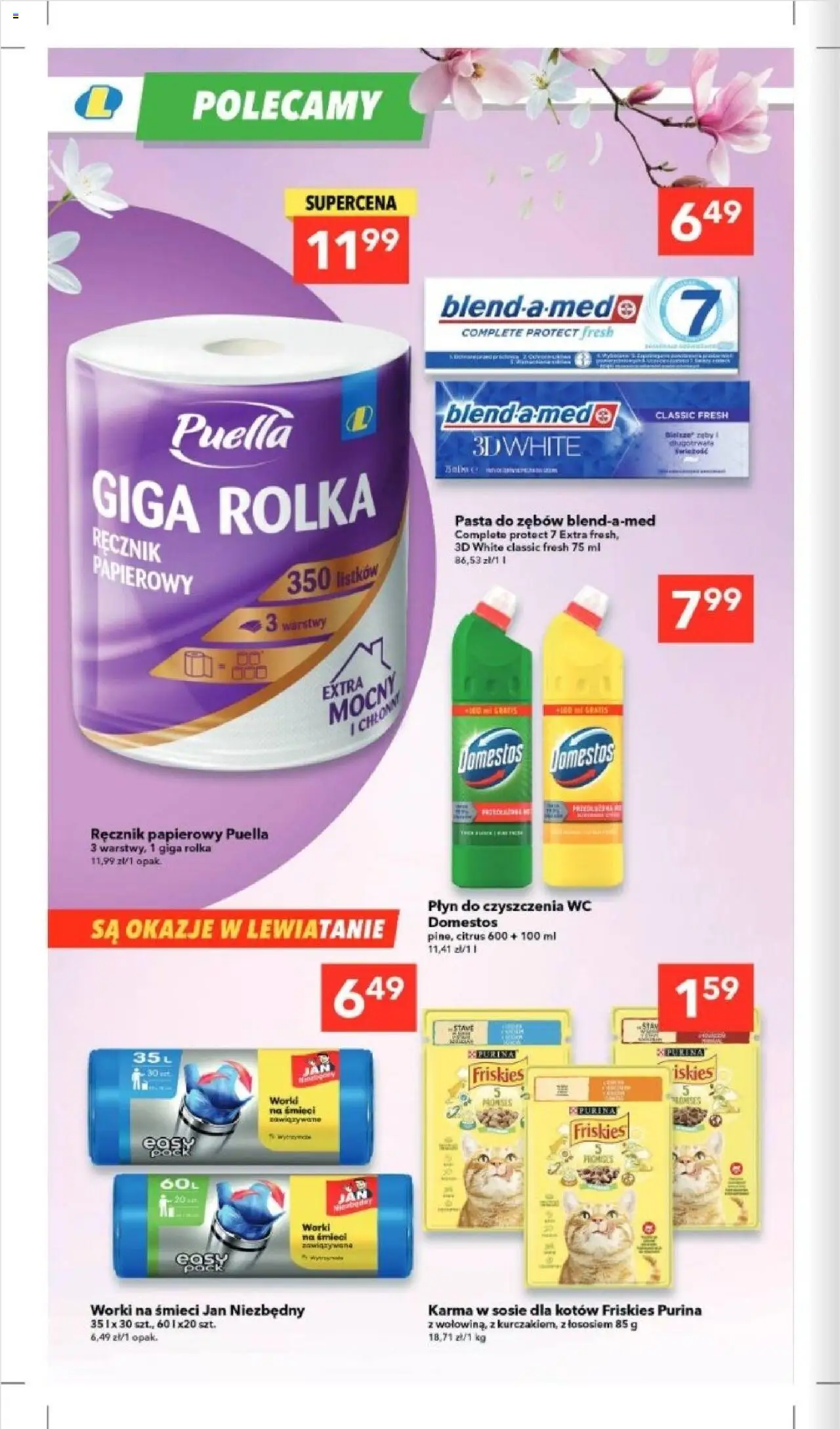 Lewiatan gazetka - Katowice od 23.10.2025 | Strona: 13 | Produkty: Domestos, Pasta do zębów, Ręcznik papierowy