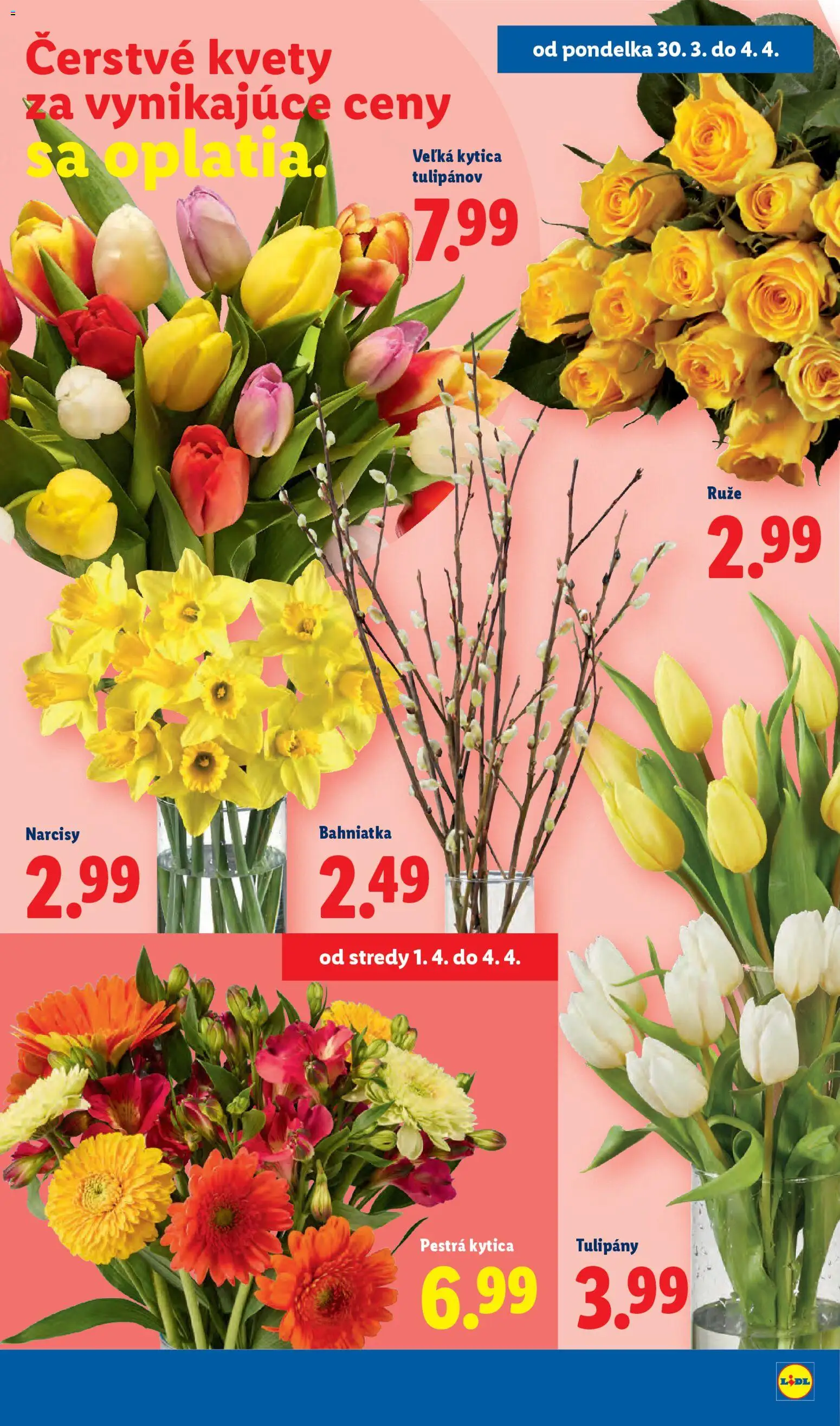 Nové Lidl akcie – leták je platný od 30.03.2026 | Strana: 53 | Produkty: Kvety, Tulipány, Ruže
