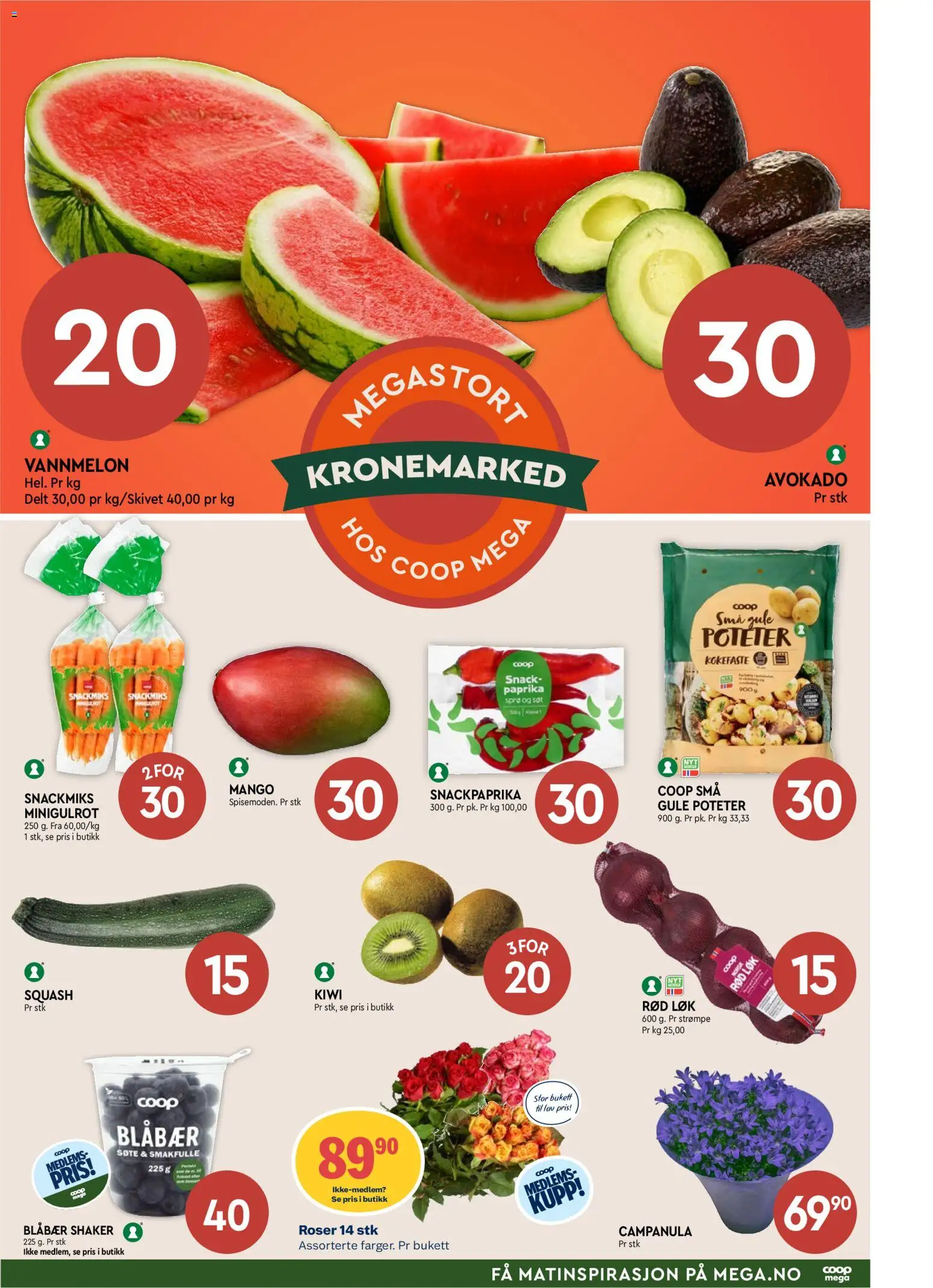 {H1} | Side: 7 | Produkter: Kiwi, Løk, Paint, Суміш дитяча