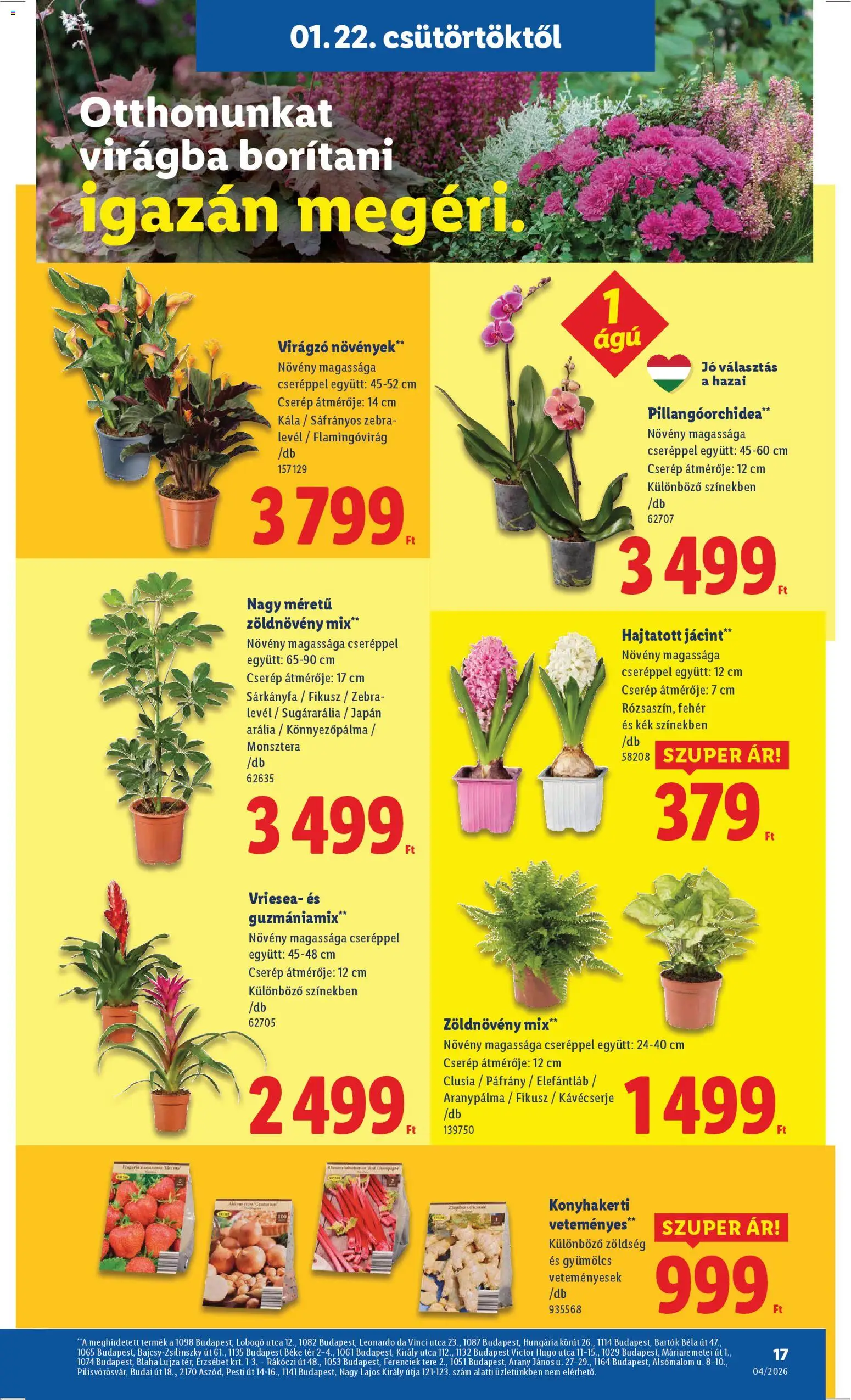 Lidl akciós ujság - amely érvényes a következő dátumtól: 22.01.2026 | Oldal: 17 | Termékek: Gyümölcs, Zöldség