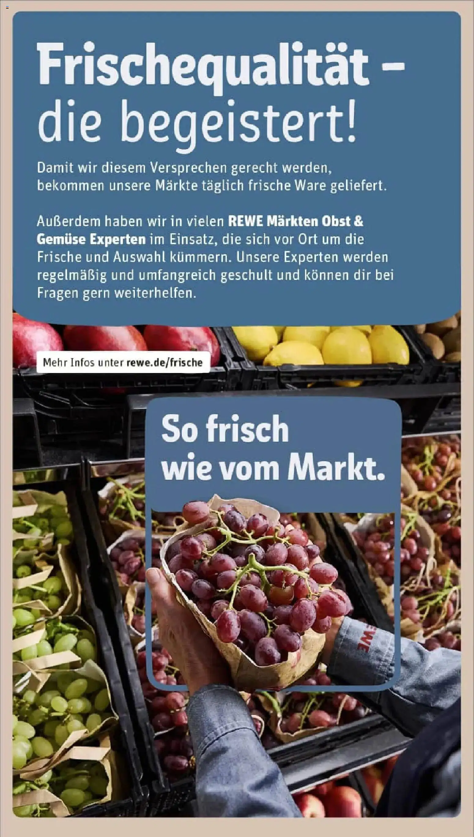 Rewe prospekt Hameln	 – gültig ab 11.01.2026 | Seite: 30 | Produkte: Gemüse, Obst