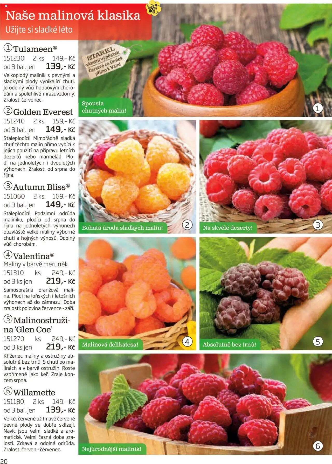 Starkl katalog podzim 2025 od 01.08.2025 | Strana: 20 | Produkty: Dezerty, Maliny