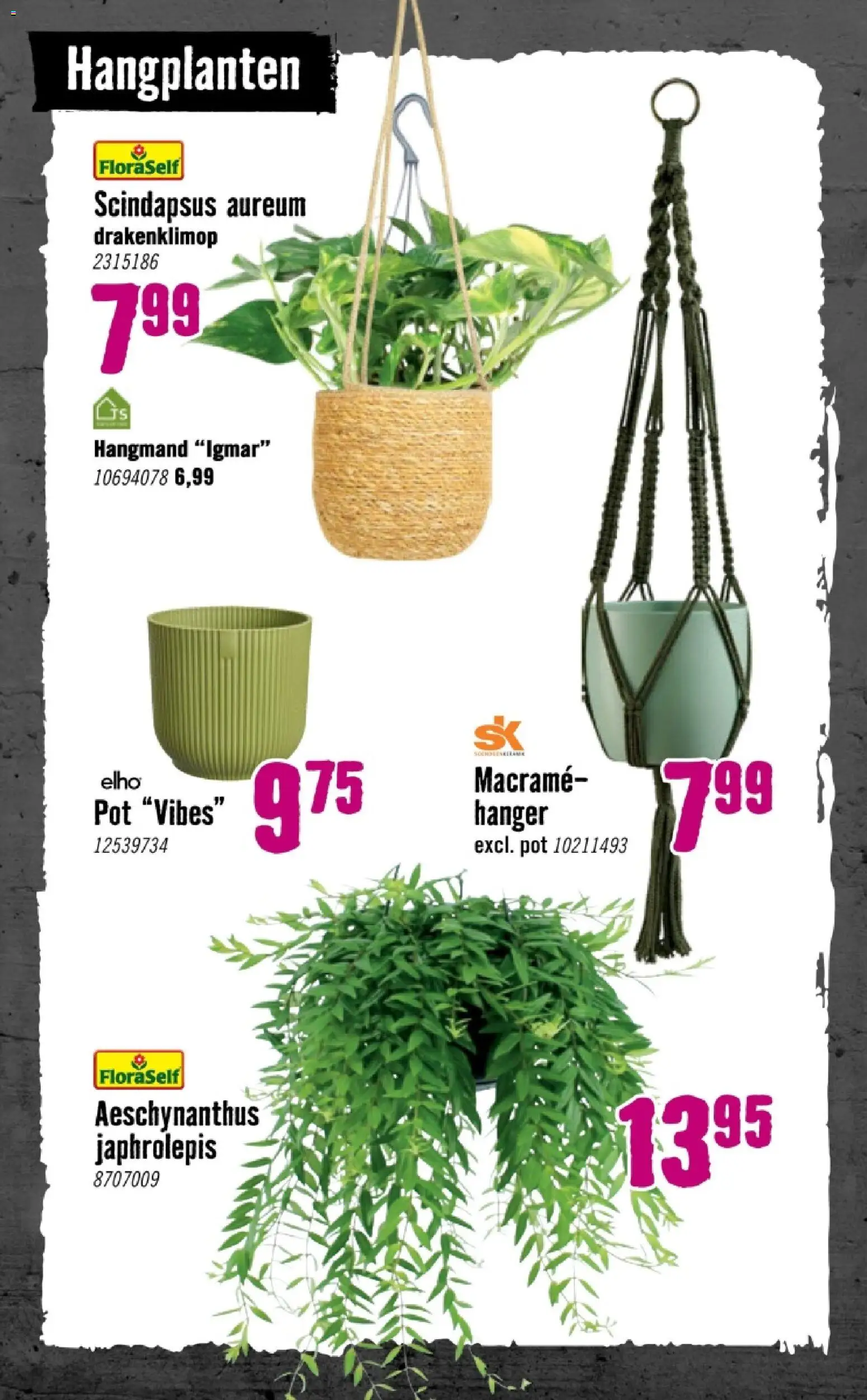 {H1} | Pagina: 75 | Producten: Hanger, Pot