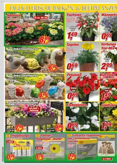 Posten Börse Prospekt ab 18.04.2026 gültig | Seite: 4 | Produkte: Hortensie, Blumen, Geranien