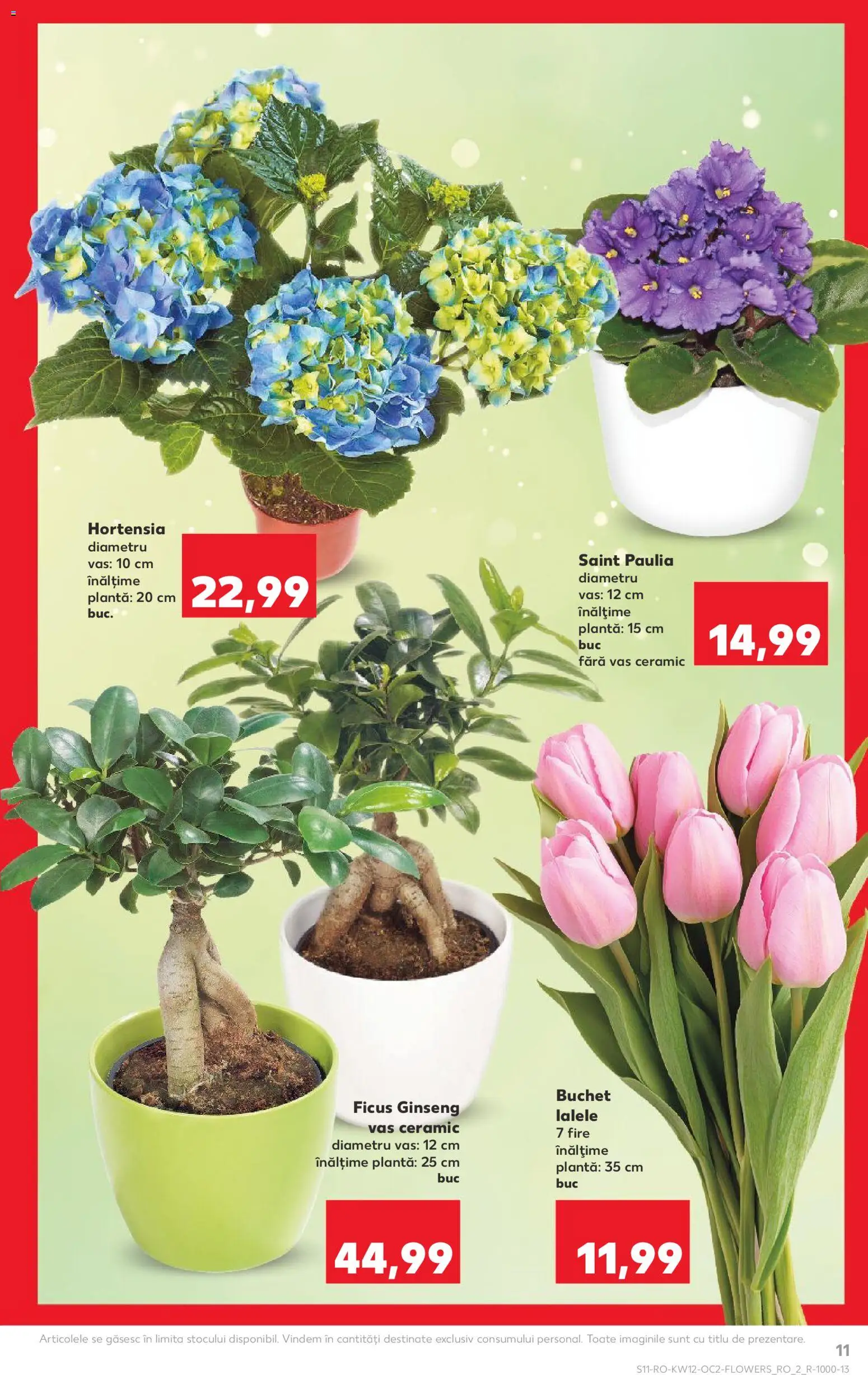 Noul catalog Kaufland – valabil de la 18.03.2026 | Pagină: 11