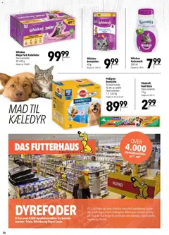 CITTI - Tilbudsavis gyldig fra 25.03.2026 | Side: 26 | Produkter: Kattefoder