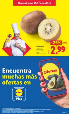 Vista previa Kiwi amarillo, Categoría: I. Origen: España / Italia / Portugal. 700 g válido desde el 30.03.2026 | Página: 3 | Productos: Kiwi