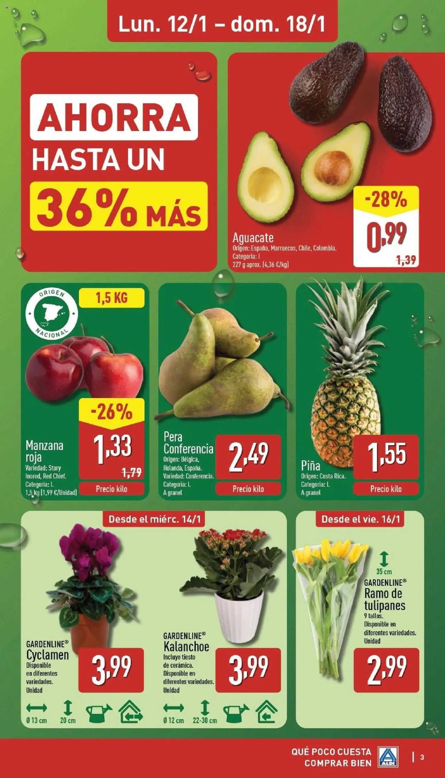 Aldi folleto Canarias │ válido desde el 12.01.2026 | Página: 3 | Productos: Piña, Manzana