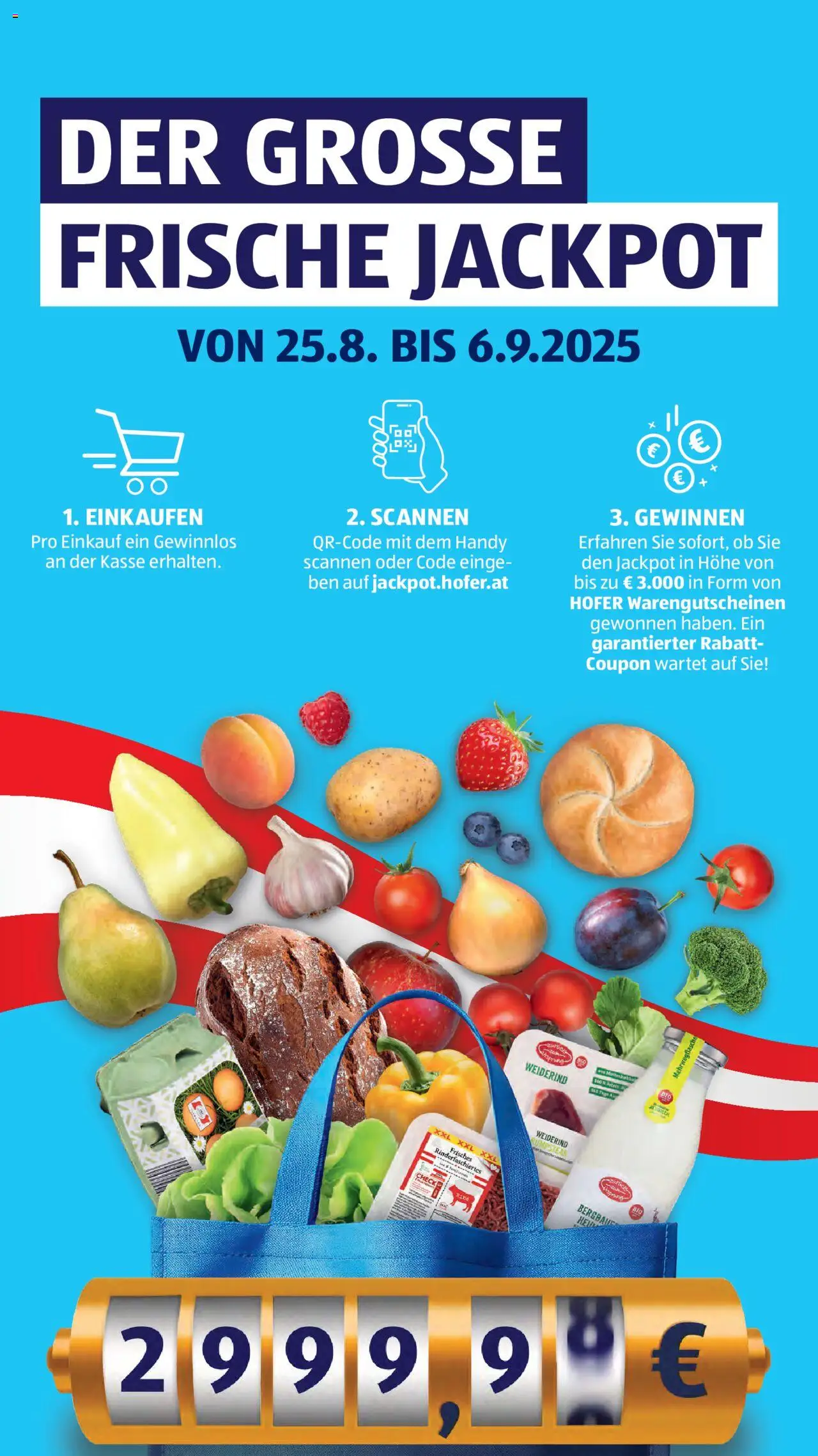Hofer Flugblatt gültig ab 29.08.2025 | Seite: 22