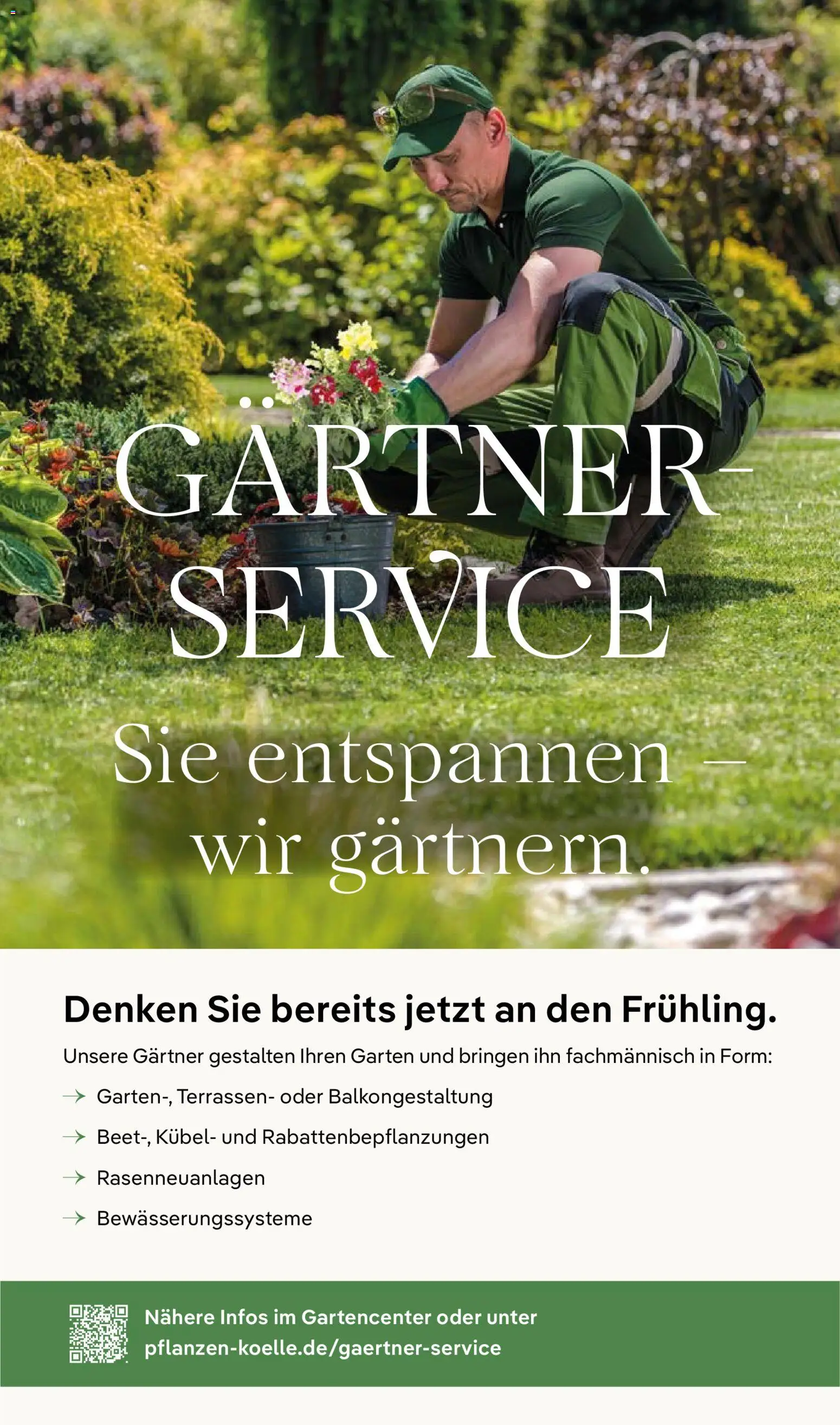 Pflanzen-Kölle Prospekt 	 – gültig ab 02.03.2026 | Seite: 17