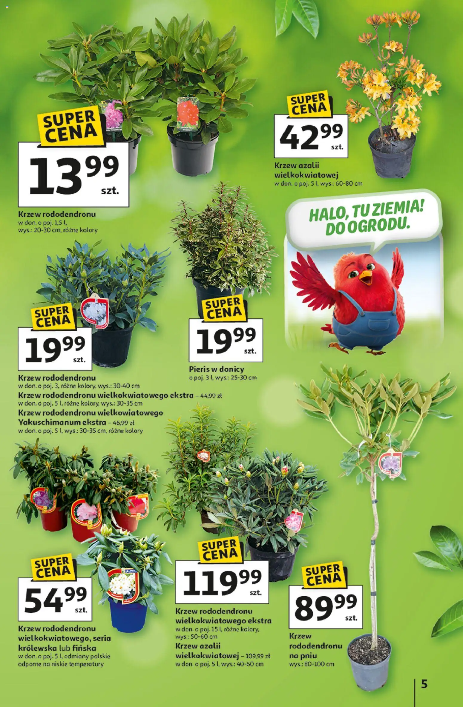 Auchan gazetka - Strefa Ogród Hipermarket od 12.03.2026 | Strona: 5 | Produkty: Ziemia