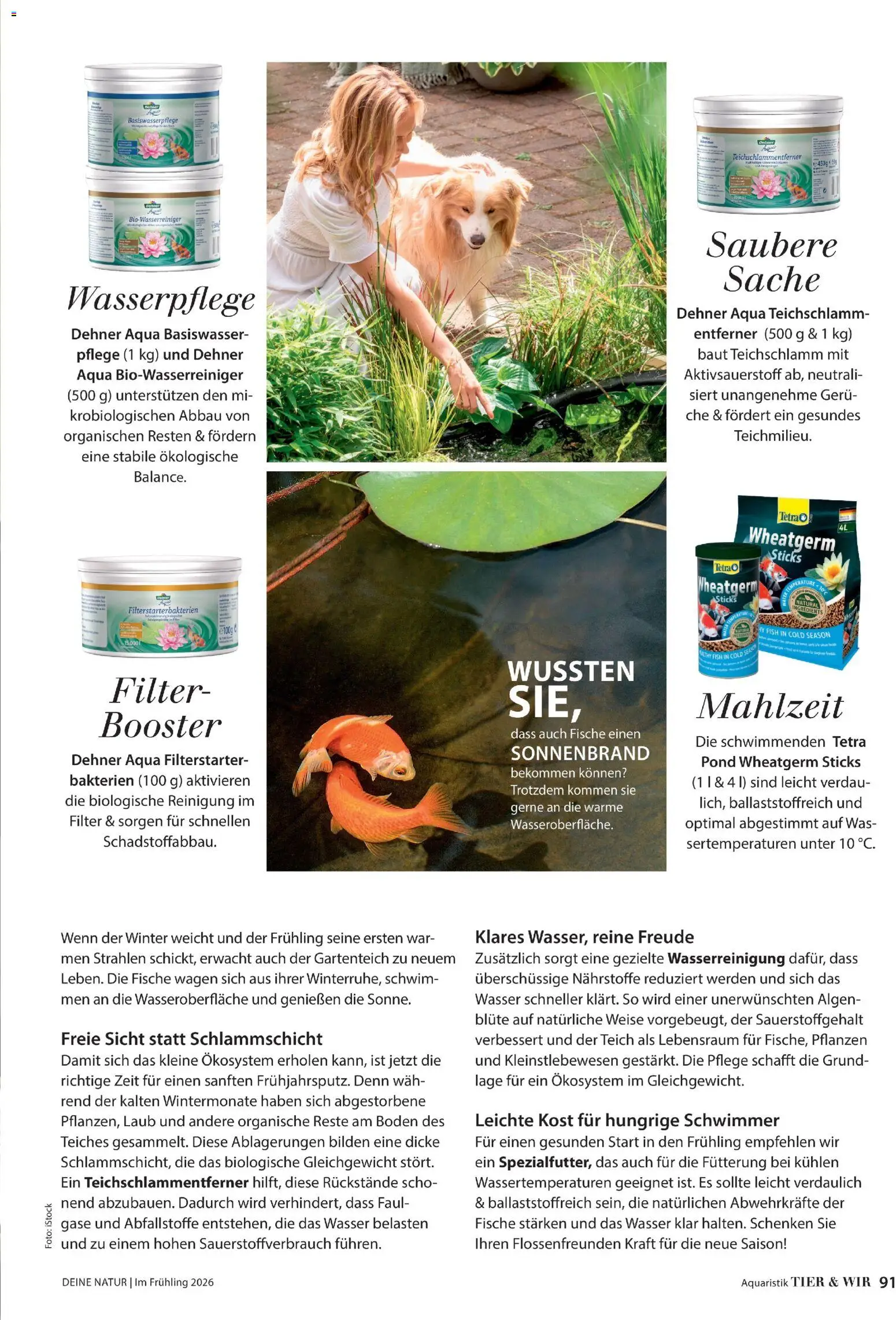 Dehner Flugblatt gültig ab 05.03.2026 | Seite: 91 | Produkte: Wasser