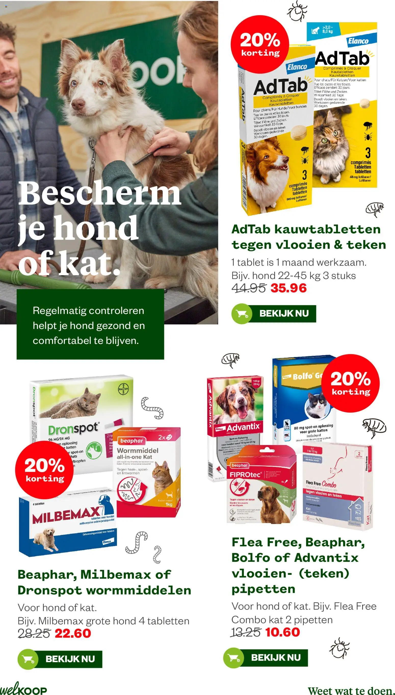 {H1} | Pagina: 23 | Producten: Chips, Tablet