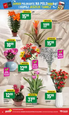 POLOmarket Gazetka od 18.06.2025 | Strona: 18 | Produkty: Kurkuma, Doniczki