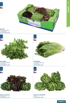 Makro leták - Burgery od 12.11.2024 | Strana: 17 | Produkty: Salát mix, Salát, Zelenina, Mix salát
