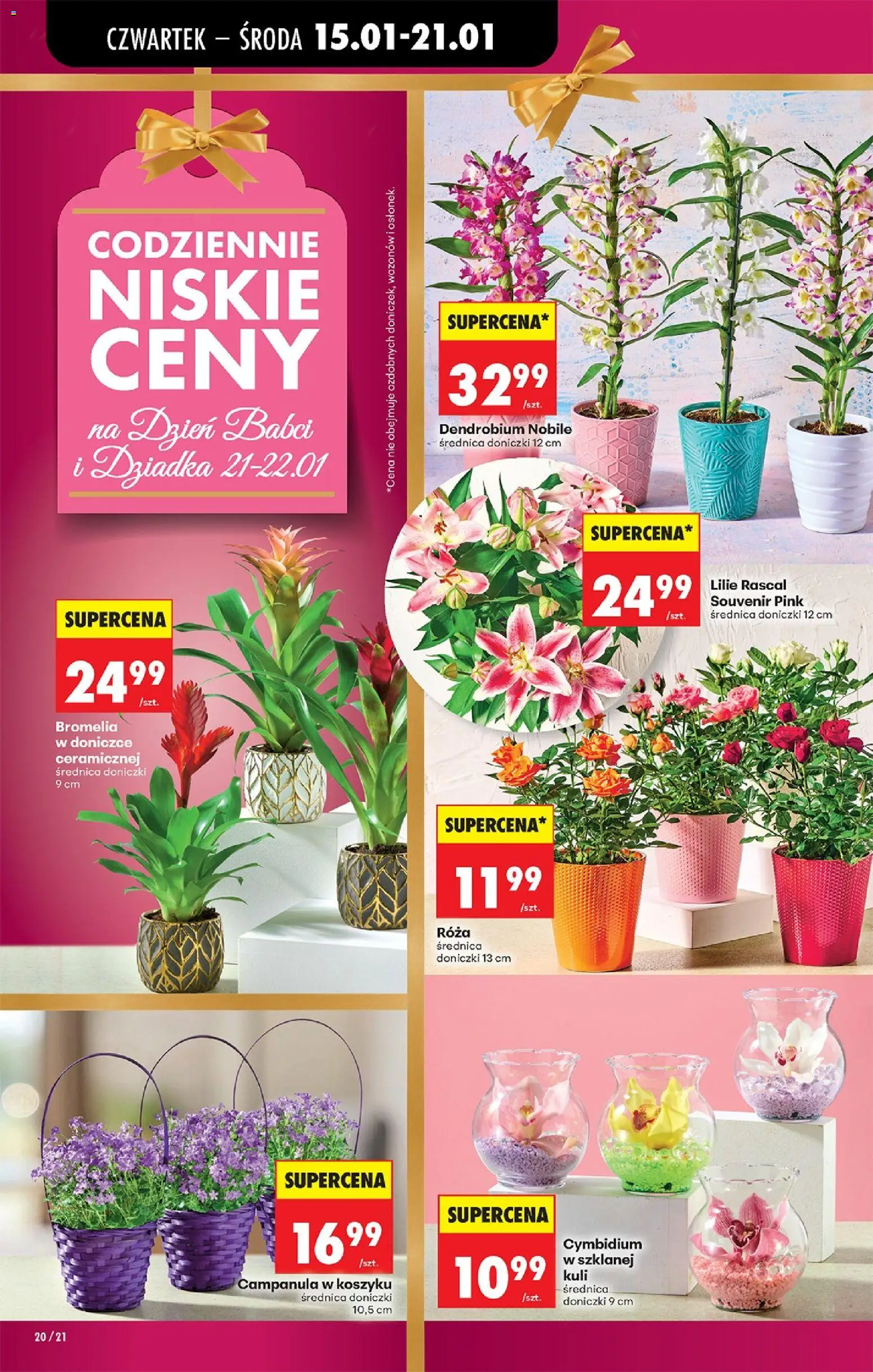 Biedronka gazetka - Oferta w tym tygodniu od 15.01.2026 | Strona: 24 | Produkty: Doniczki