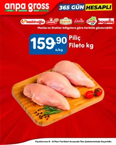 06.03.2026 tarihinden itibaren geçerli olan Anpa Gross kataloğu önizlemesi