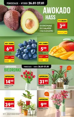 Pogląd oferty "Mango dojrzałe, Mango dojrzałe, szt." - ważna od 26.01.2026 | Strona: 22