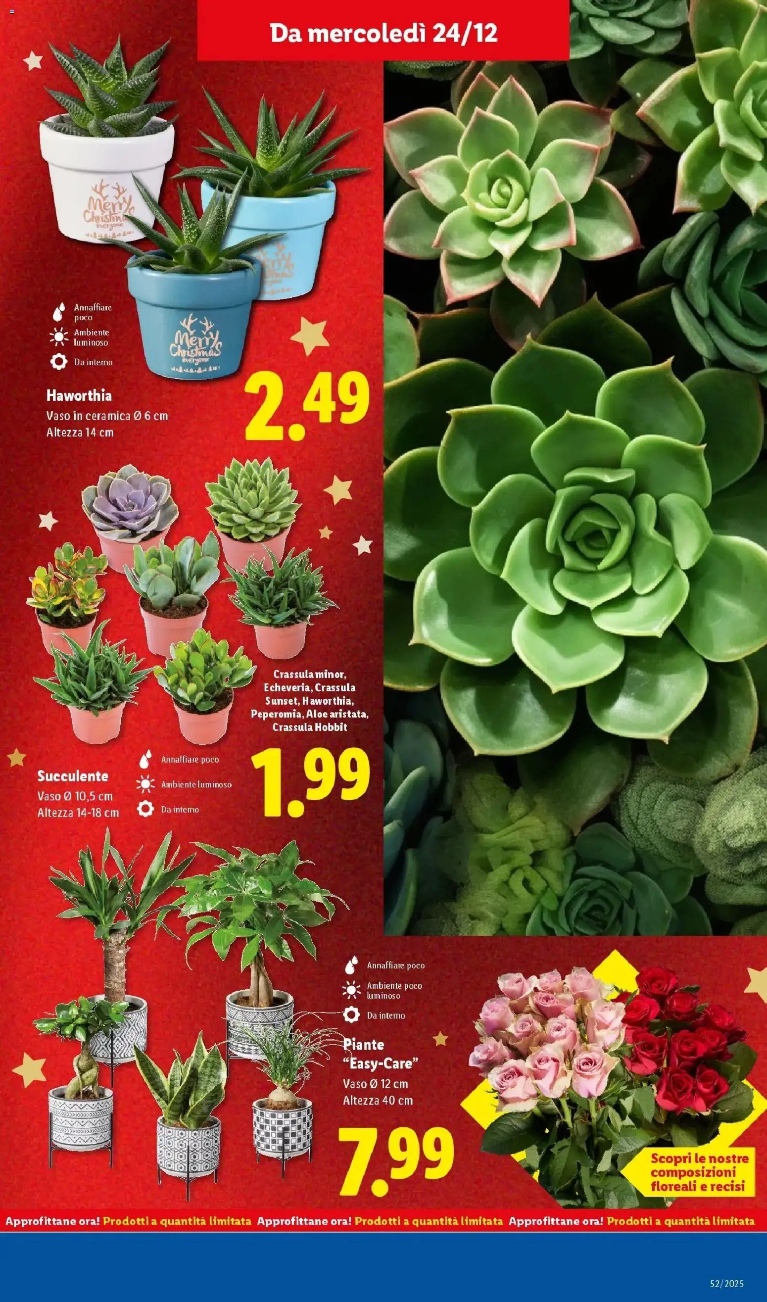 Volantino Lidl del 20.12.2025 | Pagina: 41 | Prodotti: Vaso