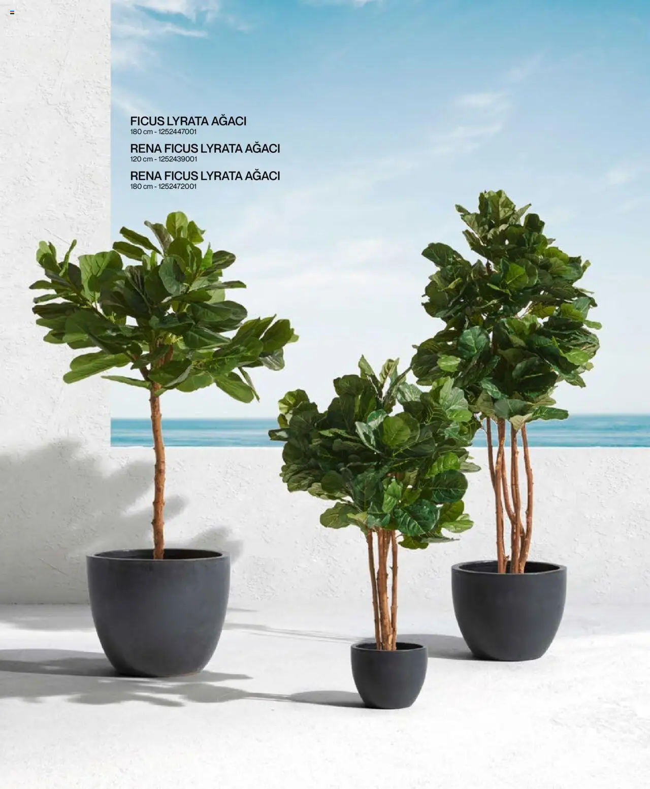 Mudo Katalog - BAHÇE 2025 - 04.06.2025 tarihinden itibaren geçerlidir | Sayfa: 154