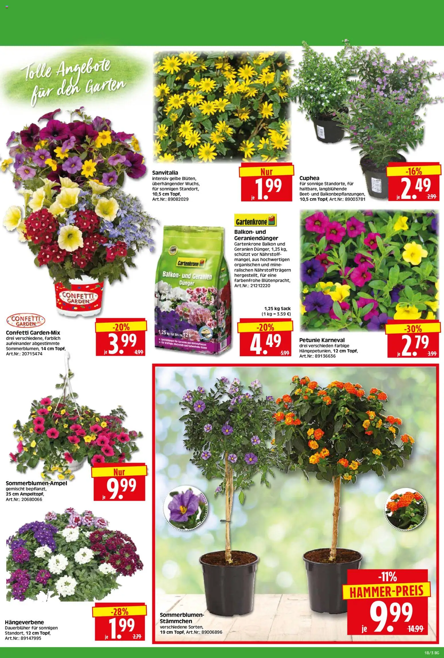 HERKULES Bau & Garten – gültig ab 27.04.2026 | Seite: 3 | Produkte: Geranien