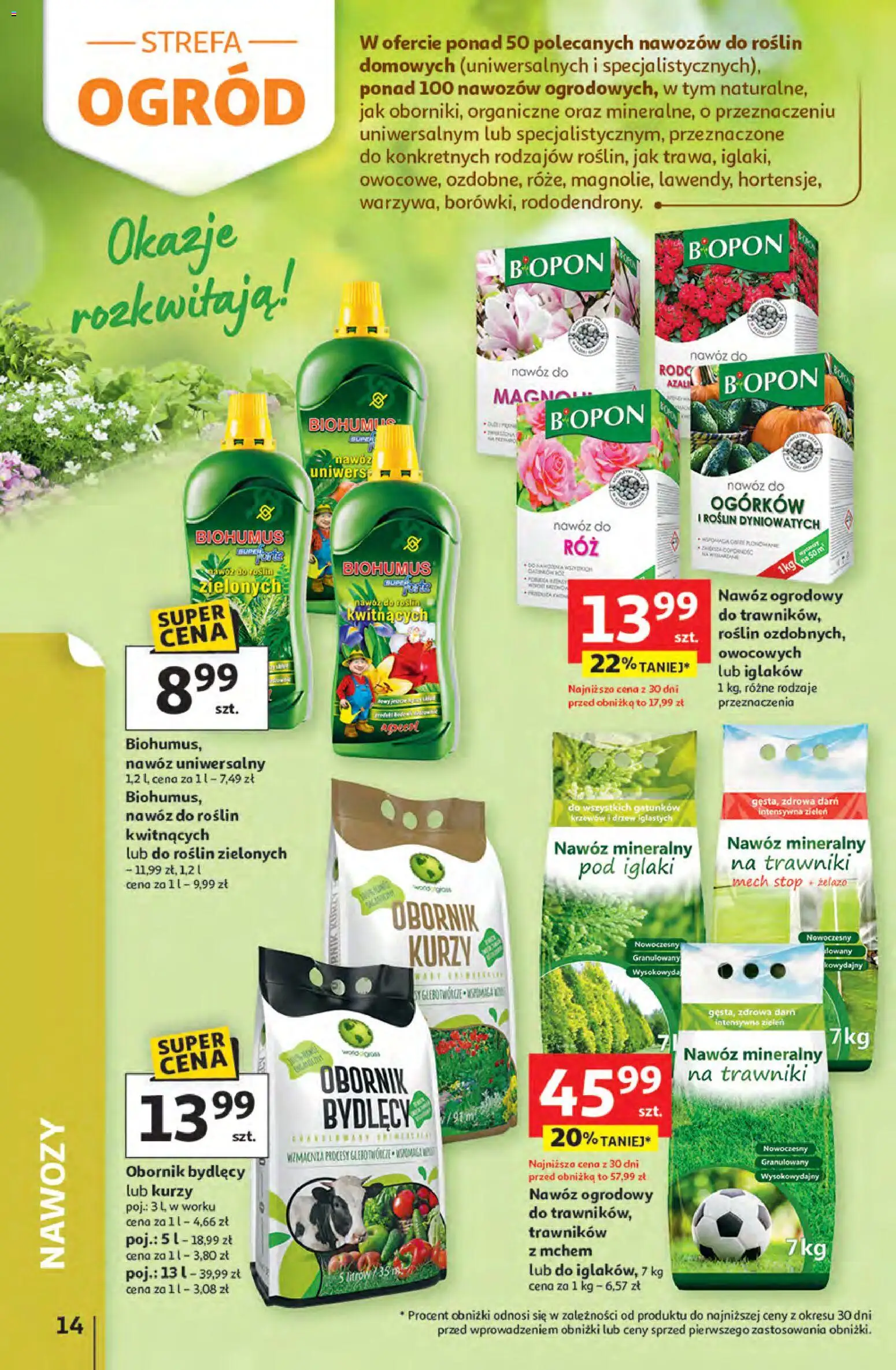 Auchan gazetka - Strefa Relaksu Hipermarket od 09.04.2026 | Strona: 14 | Produkty: Żelazo