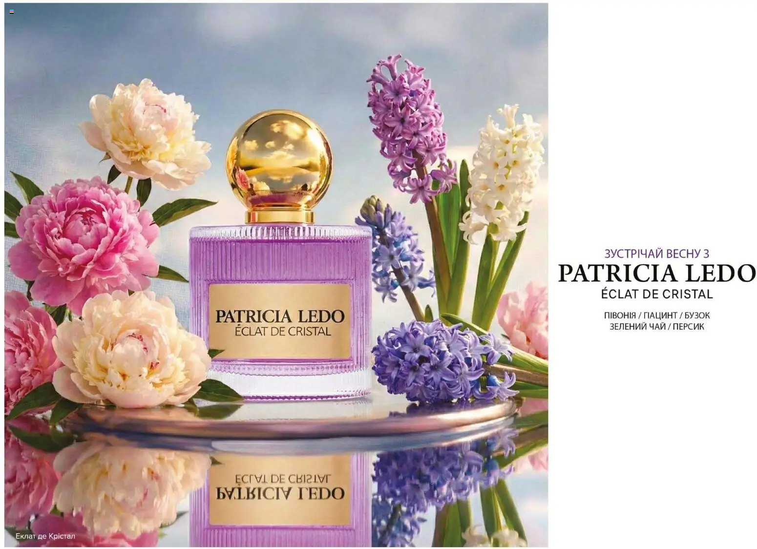 Eva Kаталог - дійснийкції з 19.02.2026 | Сторінка: 8 | Товари: Чай, Персик