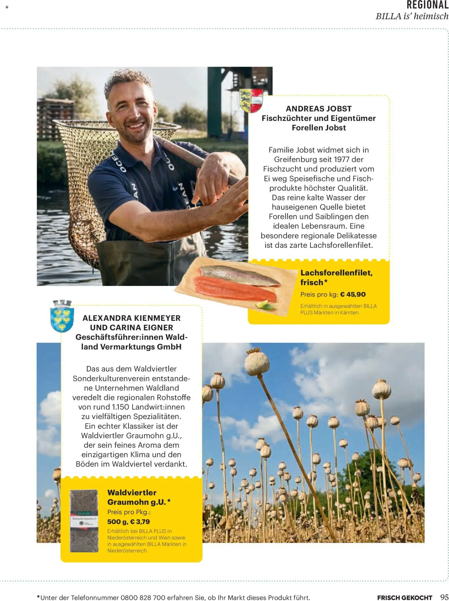 Billa  Frisch Gekocht gültig ab 01.11.2025 | Seite: 91 | Produkte: Wasser, Fisch