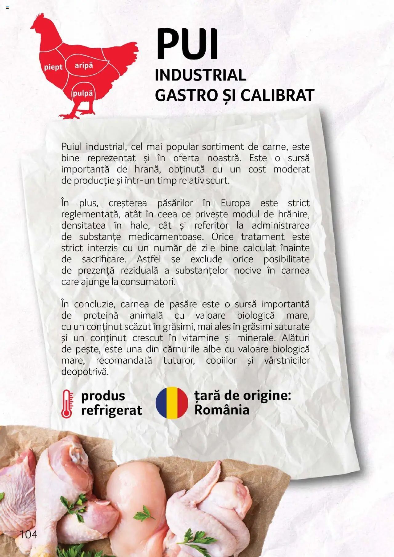 Catalog Selgros - Carne – valabil de la 27.04.2023 | Pagină: 104 | Produse: Hacıyatmaz Kedi Oyuncağı