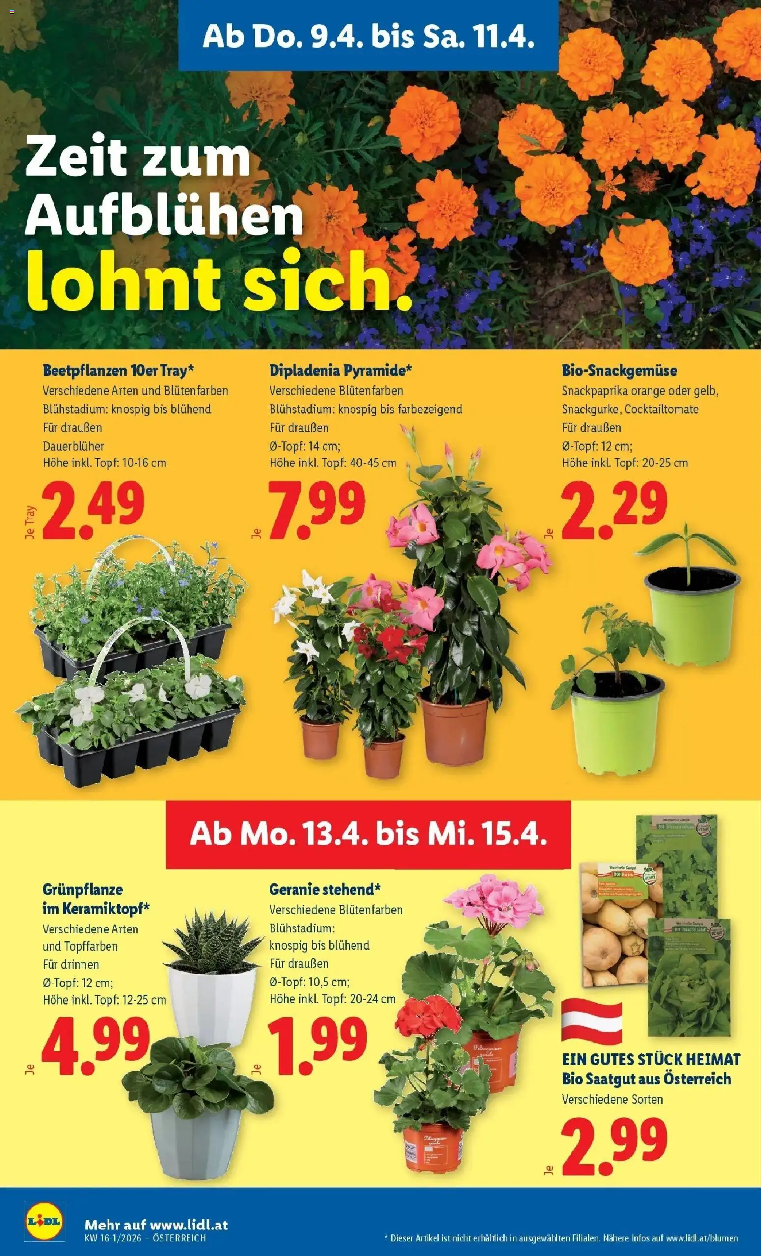 Lidl Flugblatt - Wien, Langenzersdorf, Zwettl gültig ab 08.04.2026 | Seite: 28