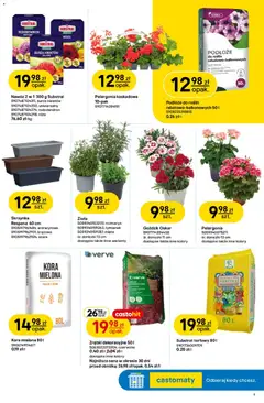 Pogląd oferty "Castorama gazetka" - ważna od 22.04.2026 | Strona: 9 | Produkty: Tymianek, Goździk, Mięta, Doniczki