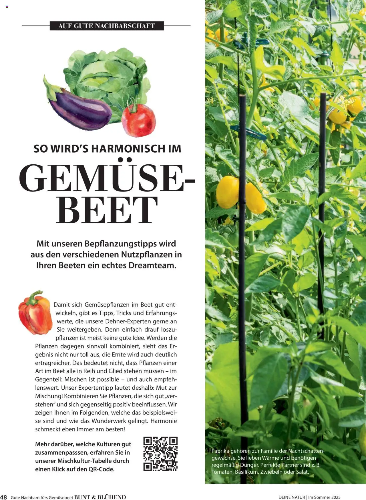 Dehner Flugblatt gültig ab 17.04.2025 | Seite: 48 | Produkte: Zwiebeln, Gemüse