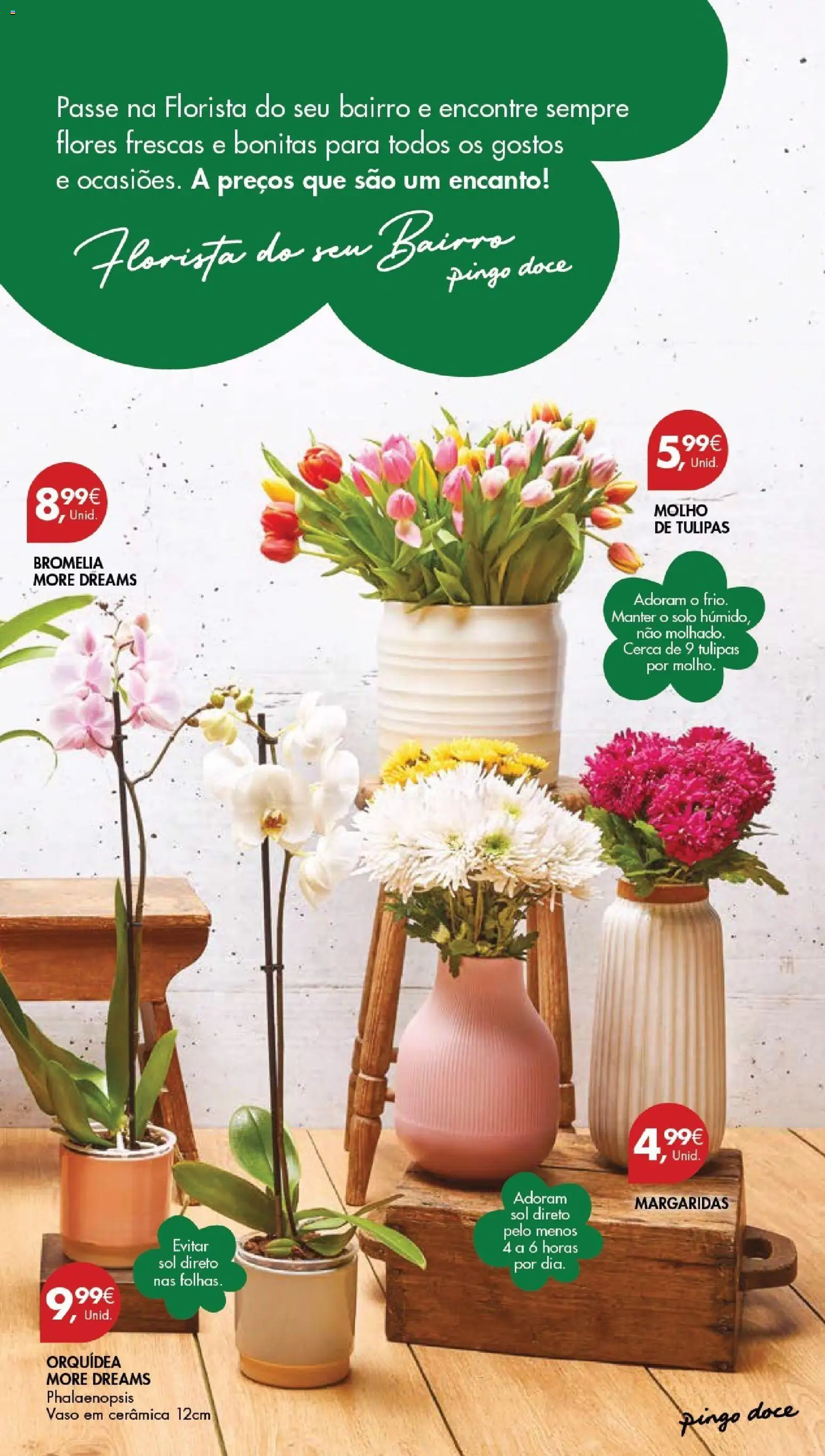 Pingo Doce Poupe este Fim de Semana │ válido de 27.02.2026 | Página: 7 | Produtos: Flores, Vaso