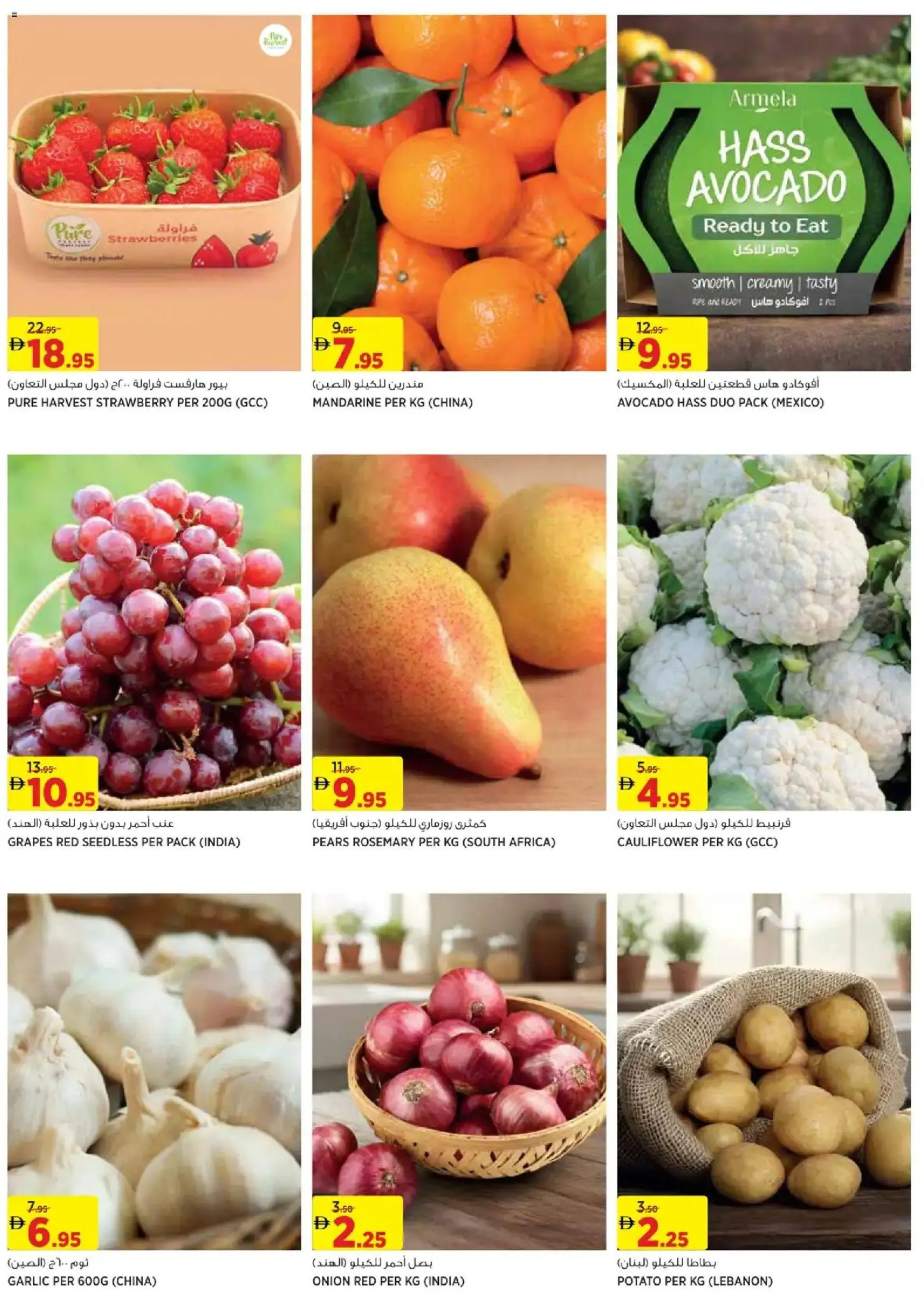 {H1} | Page: 2 | Products: Burro