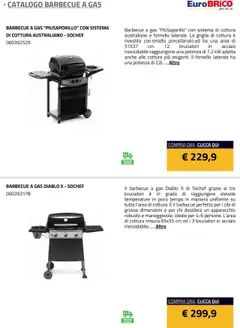 Anteprima del volantino Eurobrico Barbecue a Gas catalogo valido a partire dal 23.07.2025 | Pagina: 14