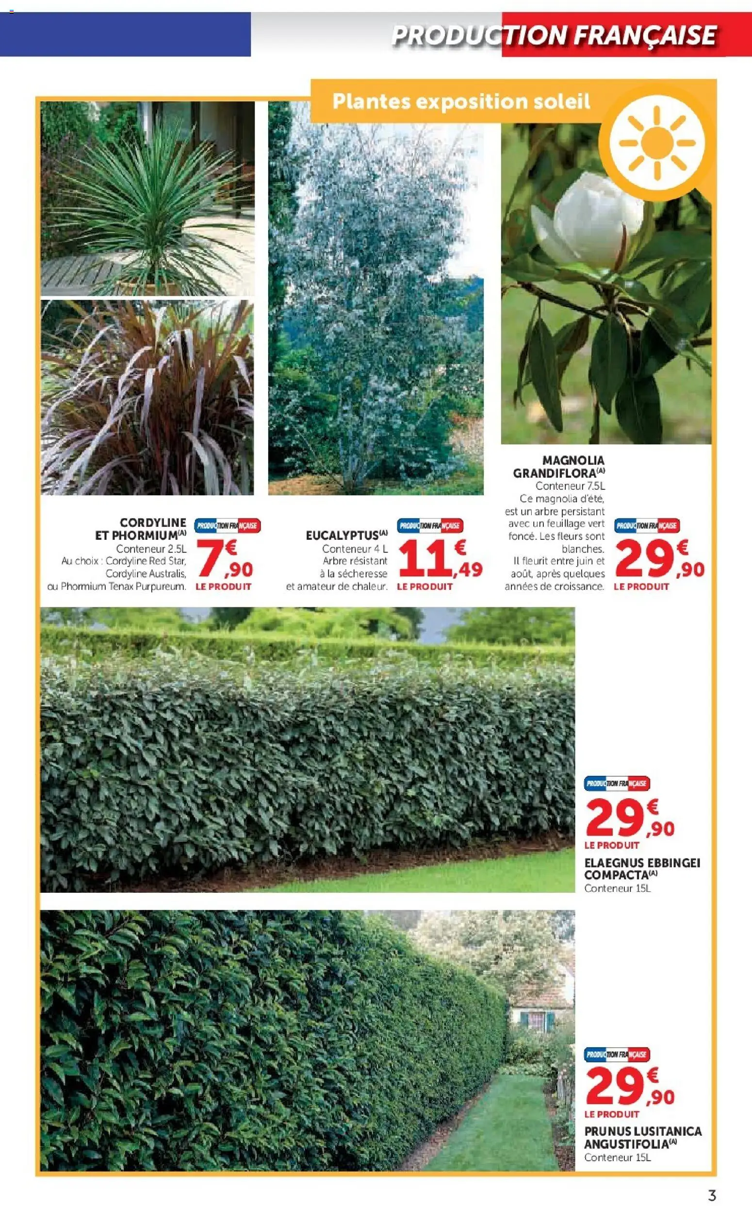 {H1} | Page: 3 | Produits: Plantes