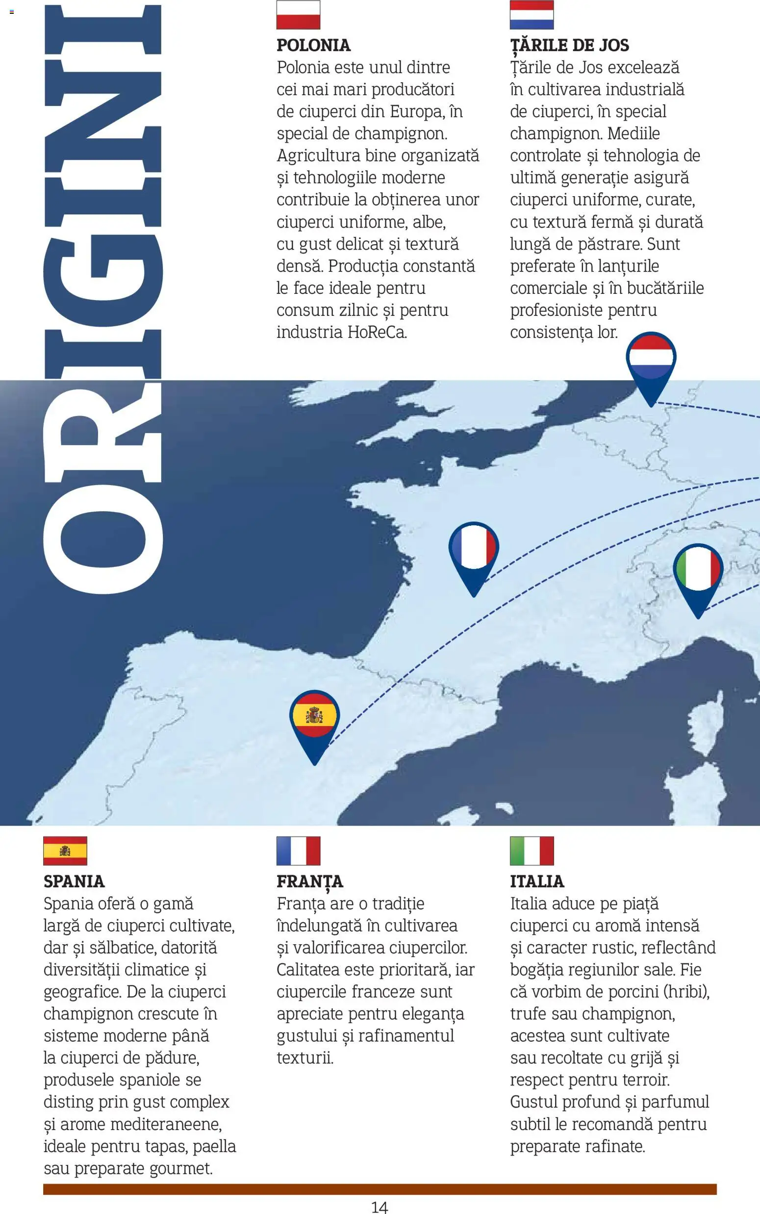 Noul catalog Metro – valabil de la 10.11.2025 | Pagină: 14 | Produse: Ciuperci