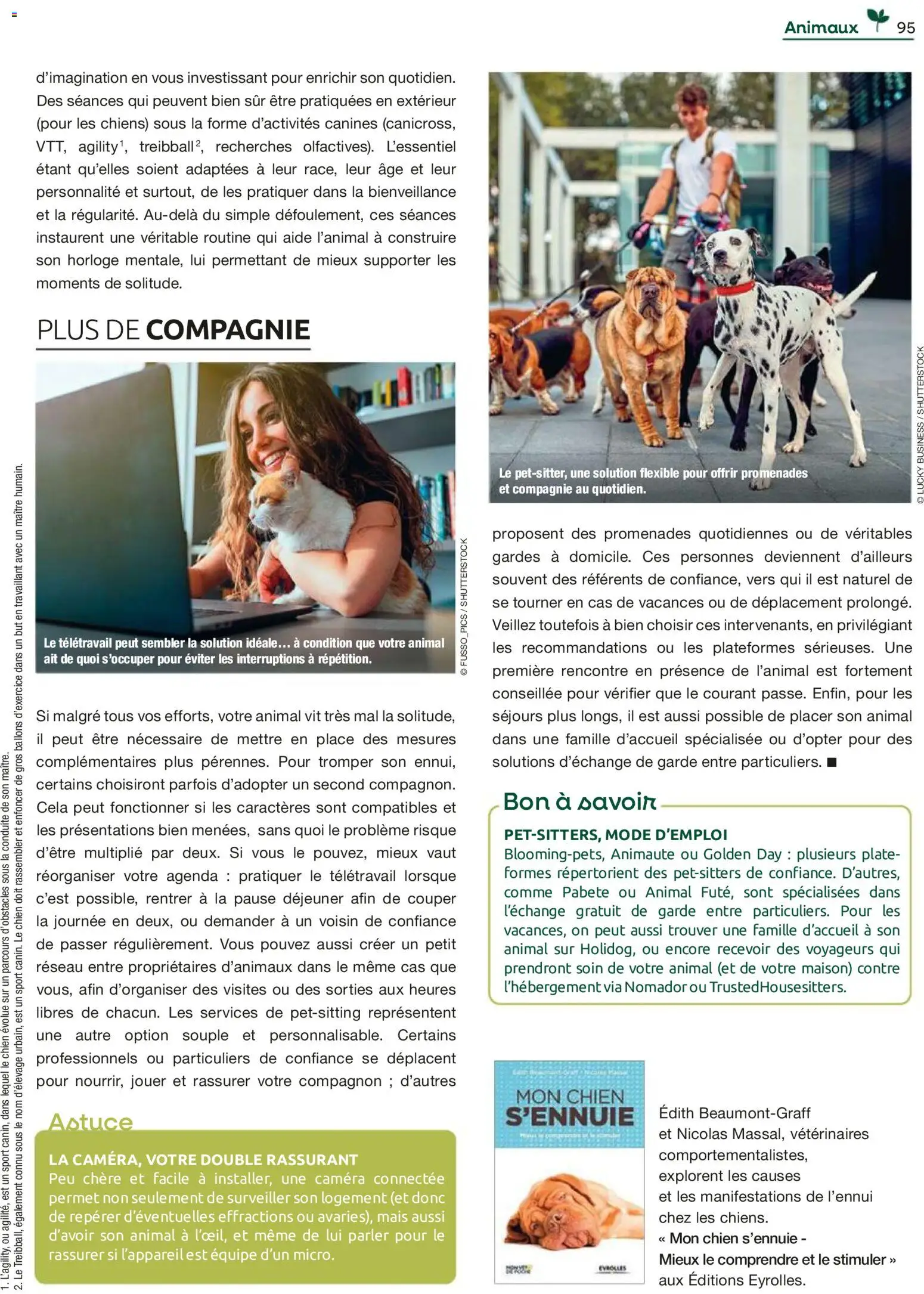 {H1} | Page: 95 | Produits: Mais, Caméra