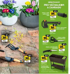Náhled letáku Albert magazín od 01.03.2026 | Strana: 19 | Produkty: Truhlík, Nůžky, Nářadí, Body