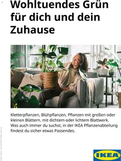 Ikea Pflanzen Broschüre ab 30.09.2025 gültig