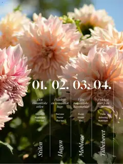 Forhåndsvisning av Plantasjen kundeavis gyldig fra 25.07.2025 | Side: 3