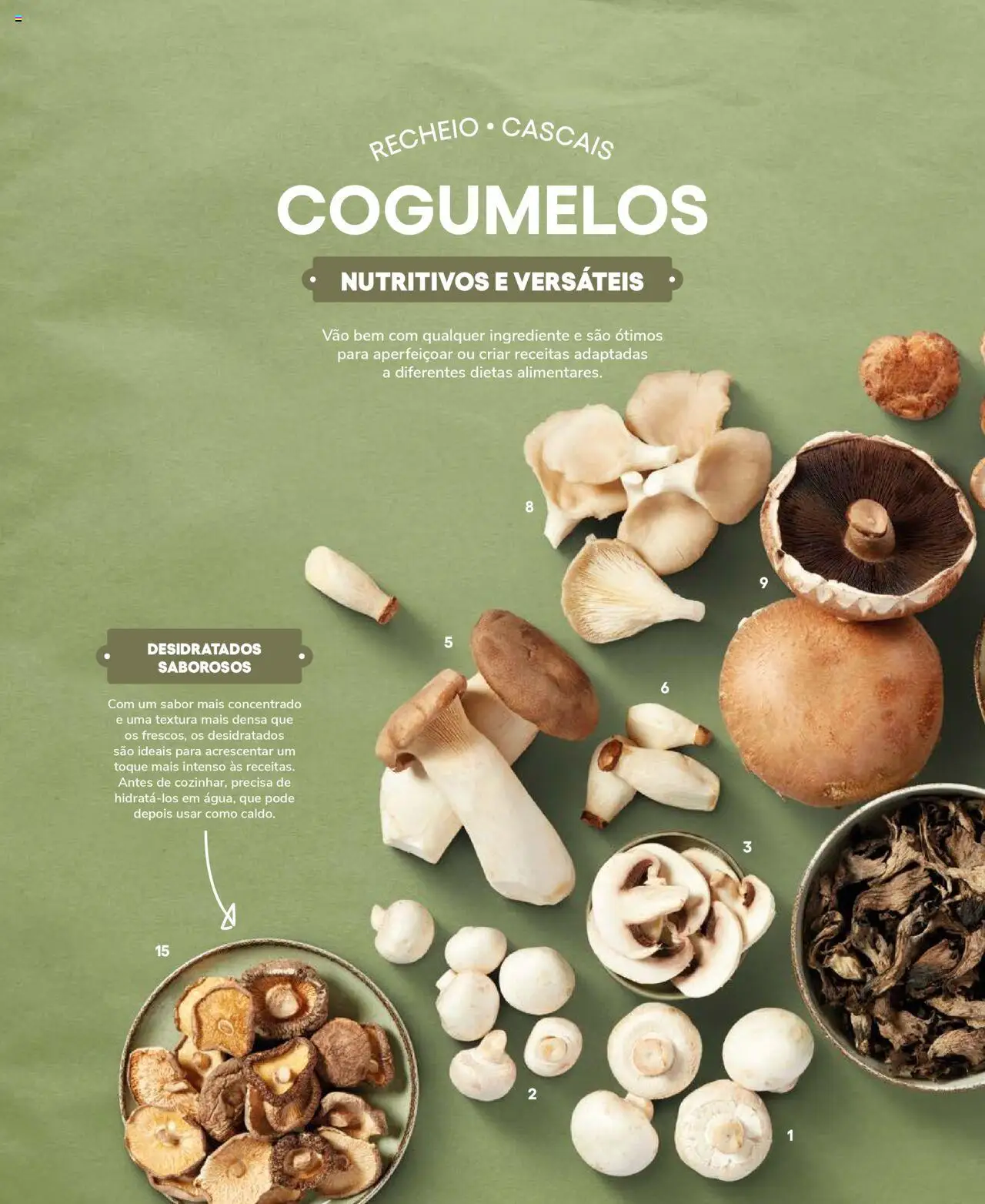 Recheio Frutas e Legumes │ válido de 19.09.2024 | Página: 44 | Produtos: Cogumelos