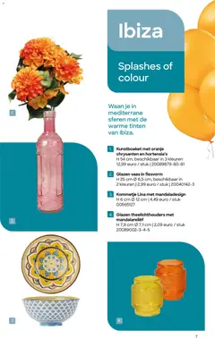 AVA folder - Voorbeeld van een folder van AVA, geldig van 01.02.2026 | Pagina: 7 | Producten: Vaas