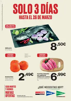 Vista previa Hipercor catálogo válido desde el 24.03.2026