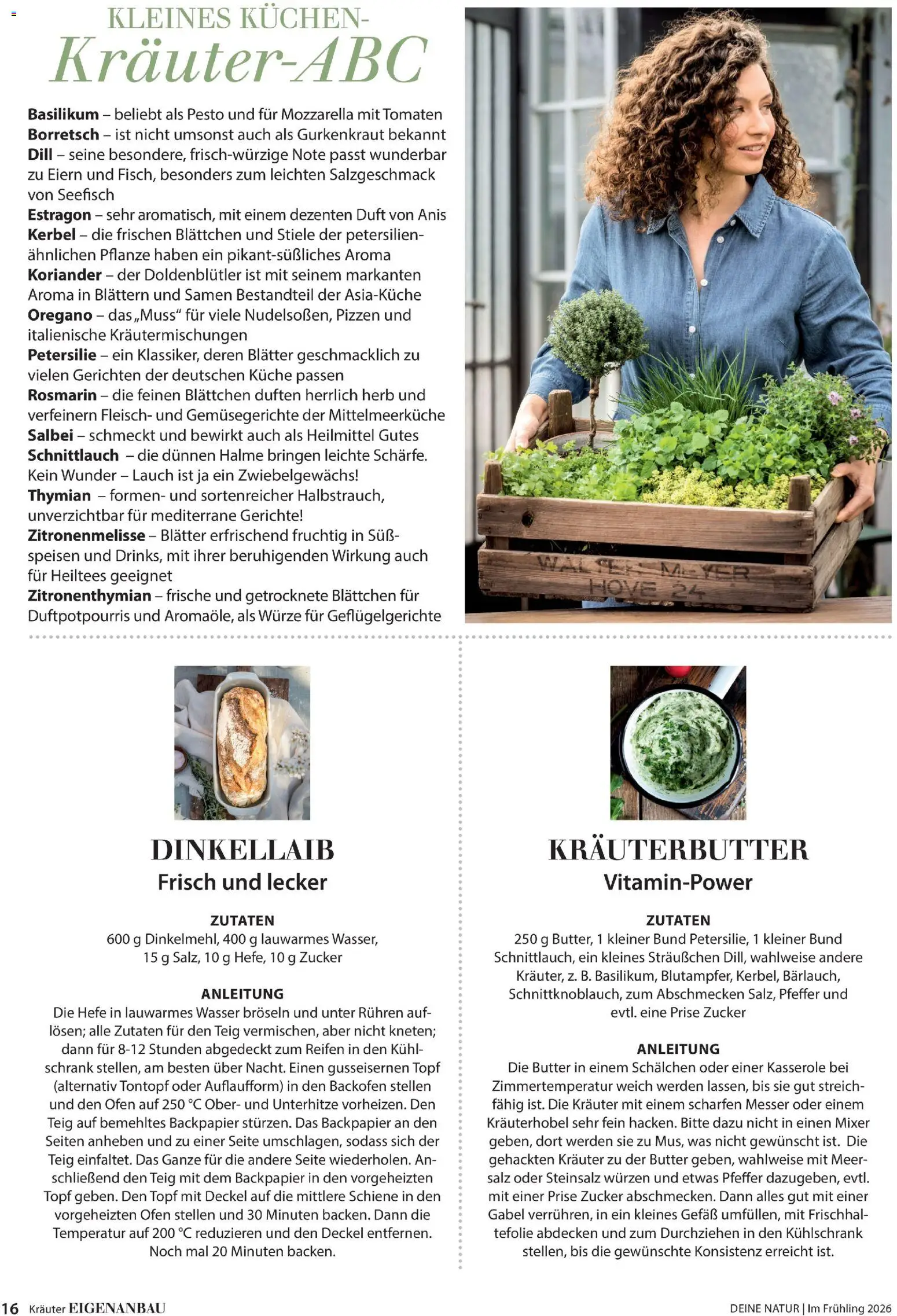 Dehner Flugblatt gültig ab 05.03.2026 | Seite: 16 | Produkte: Salz, Pfeffer, Dill, Mixer